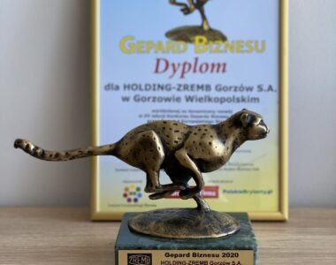 Gepard Biznesu dla HOLDING-ZREMB Gorzów S.A.!