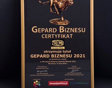 HOLDING-ZREMB Gorzów S.A. to Gepard Biznesu!